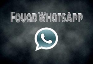 Fouad WhatsApp: Comprehensive Setup Guide